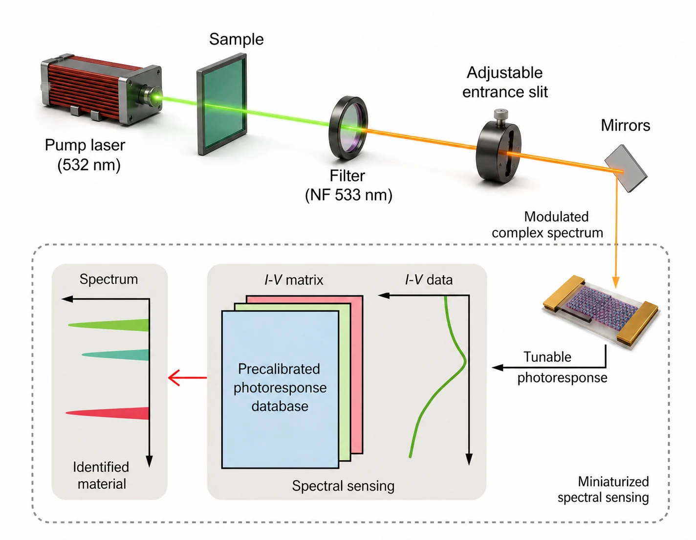 Laboratory visualization of a tunable van der Waals optoelectronic interface for spectral sensing